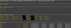 ansible을 이용한 iptables INPUT Chain DELETE 실행 결과